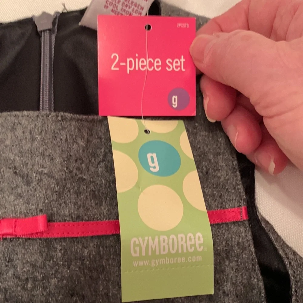 GYMBOREE 2 piece Outfit, size 18-24 Month, gray and pink with black lini…